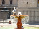 ROMA-SCORCI CURIOSI 2.JPG